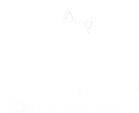 Exclusive Boat