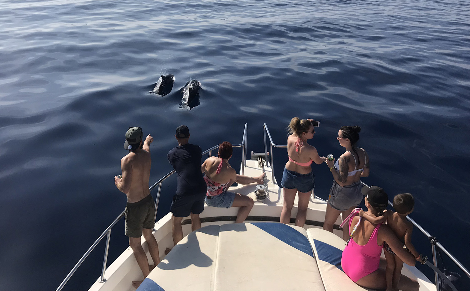 Exclusive Boat La mejor Excursión en barco del sur de Gran Canaria